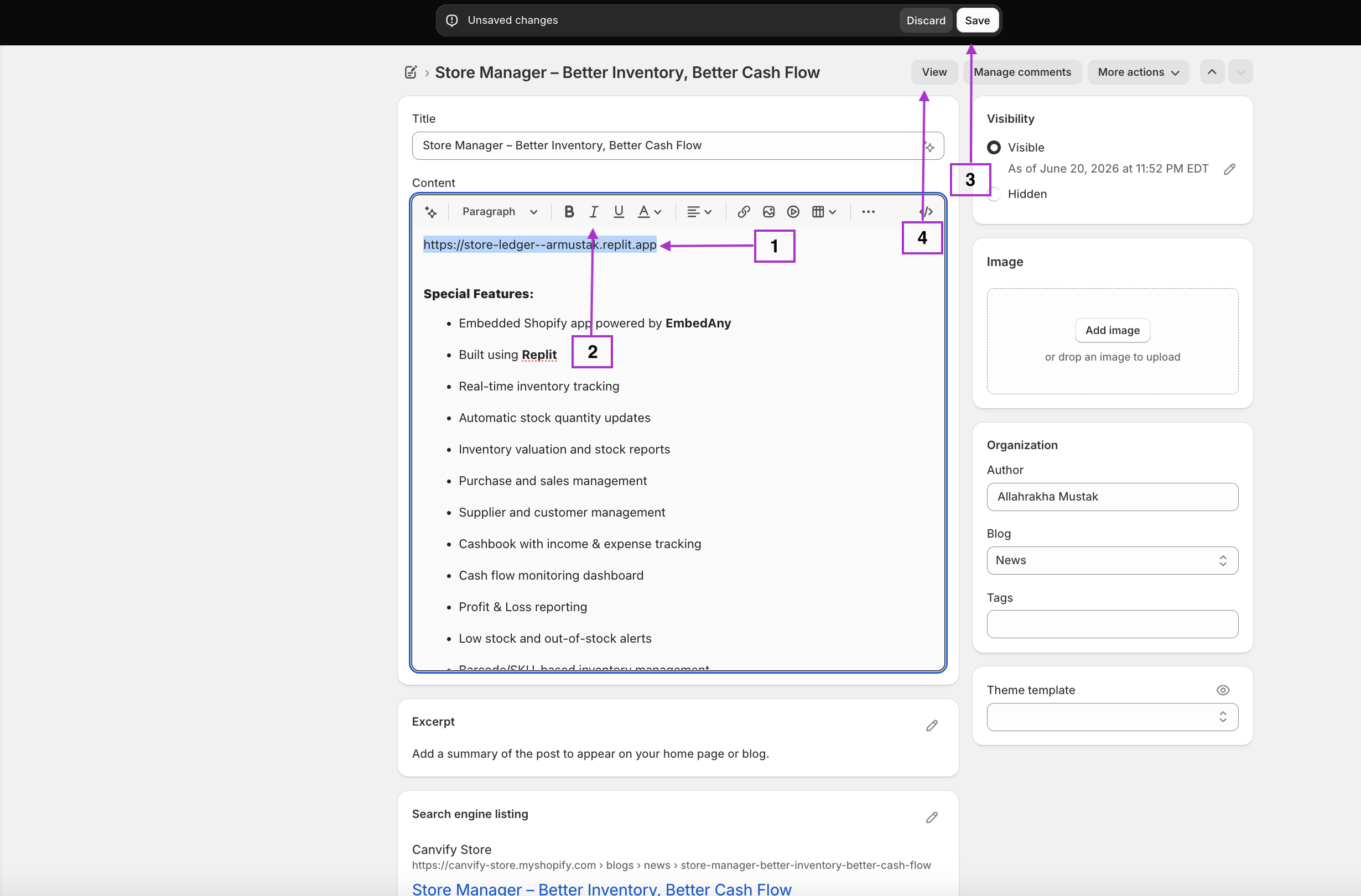 Replit app link in the Shopify editor italic