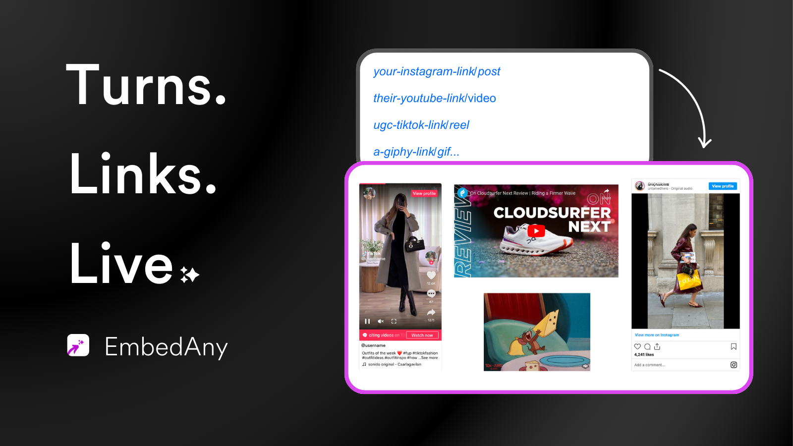 Embed Instagram feed in Shopify with EmbedAny